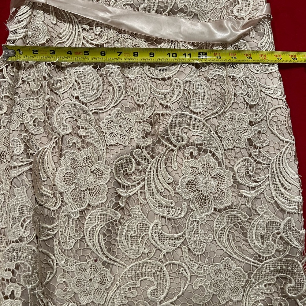 Adrianna Papell Evening Gown in Cream - Picture 5 of 7